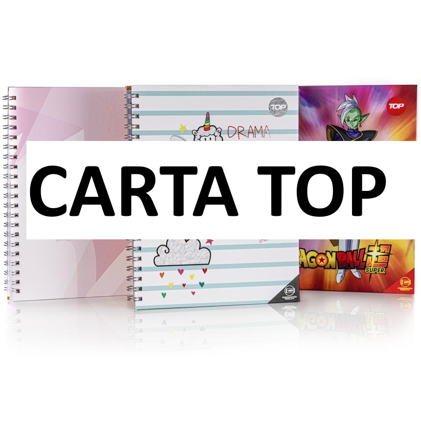 Cuaderno anillado carta TOP 100H