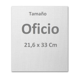 Cartulina Hilada OFICIO 100hjs