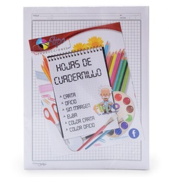 [CDLL-CAR-1] Hojas cuadernillo Carta Flipo