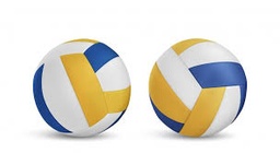 [QSV515] Pelota de Voleibol  MEIK