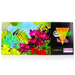 [M2512] Pinturas al oleo Caiwen 12pcs